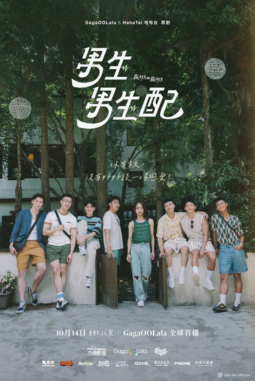 Boys Like Boys poster