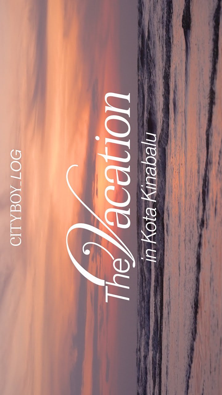 Cityboy_Log: The Vacation poster