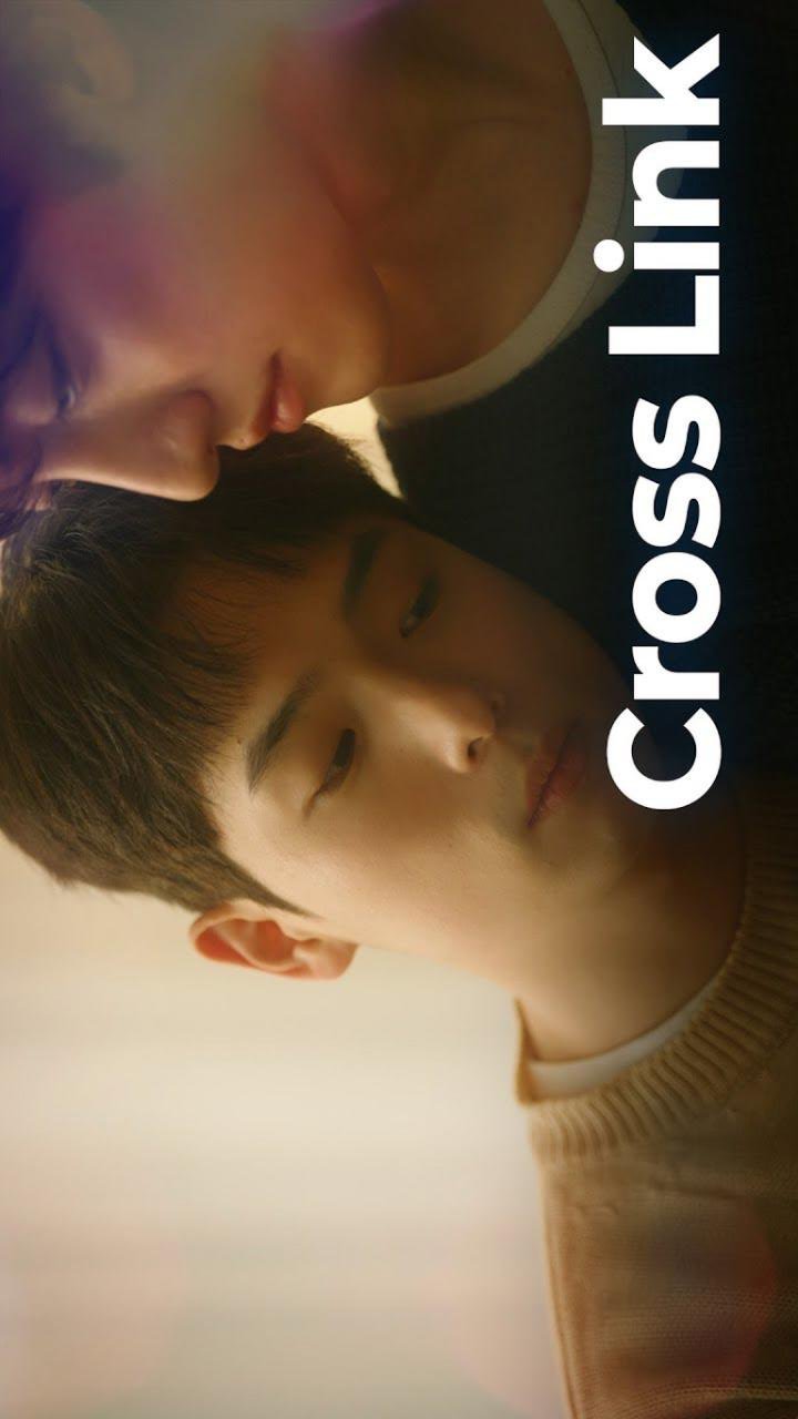 Cross Link poster