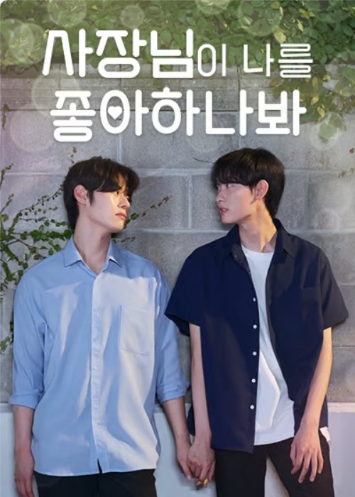 Falling for My Boss poster