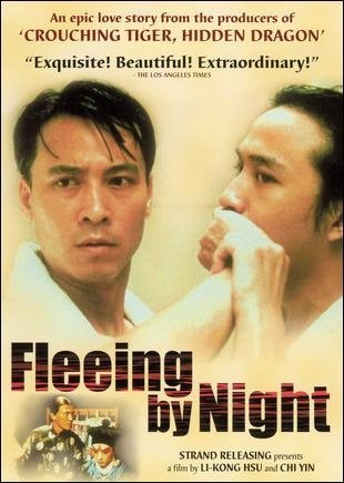 Fleeing by Night poster