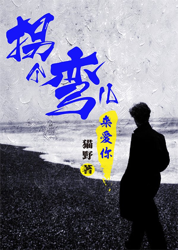 Fly in Shallow poster