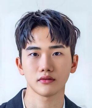 Ahn Ji Ho photo