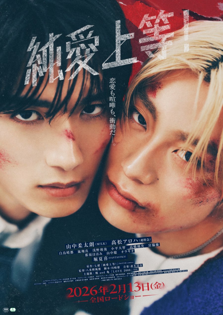 Love Punch! poster