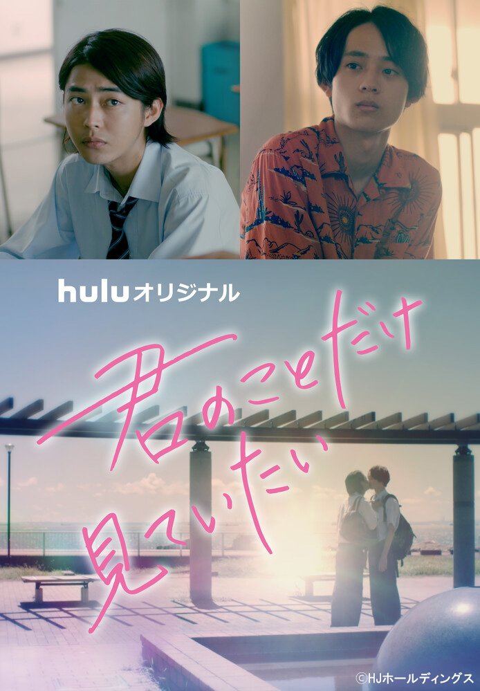 I Just Want to See You poster