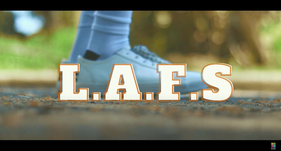 L.A.F.S poster