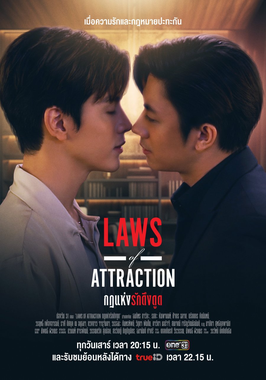 Laws of Attraction poster