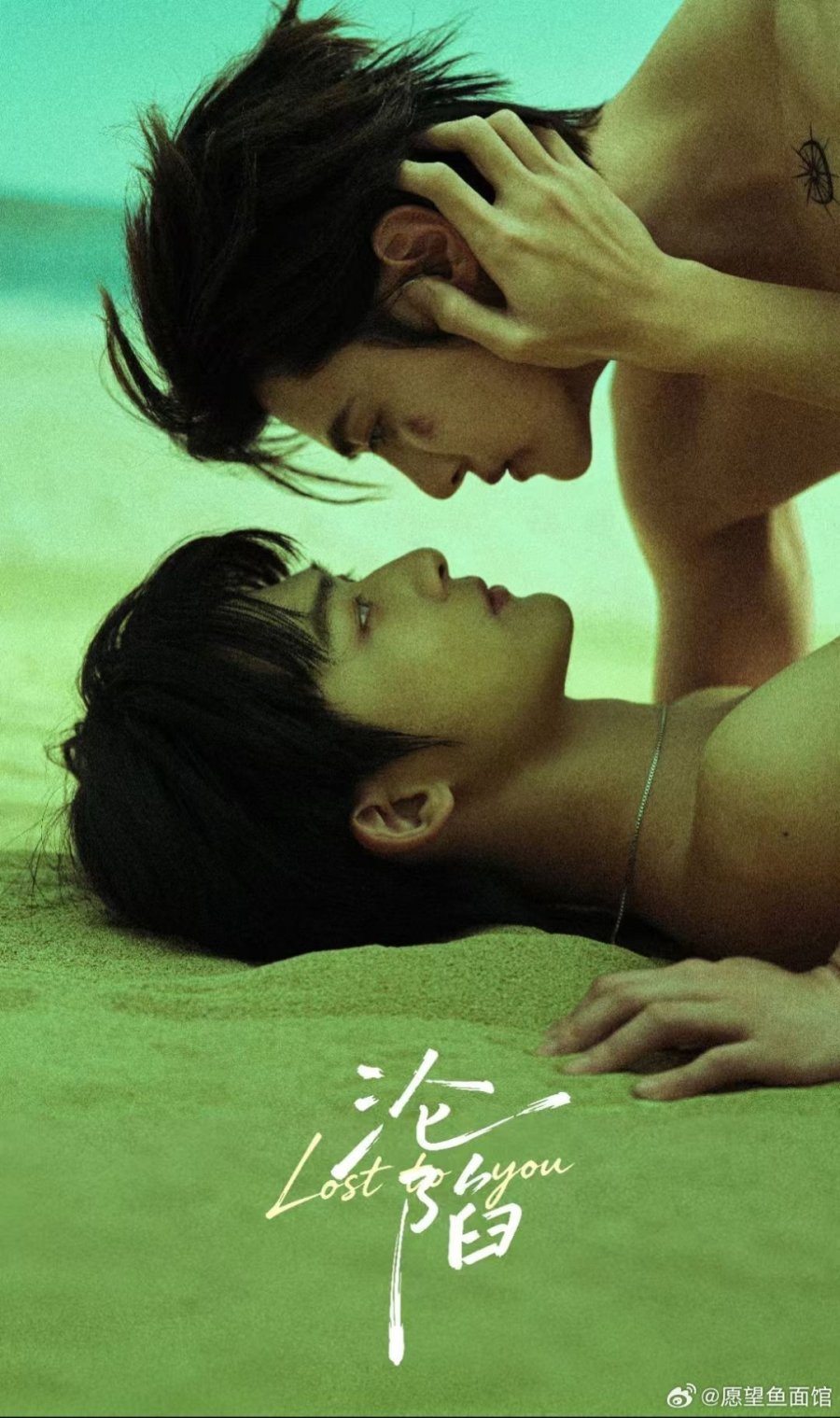 Lost to You poster