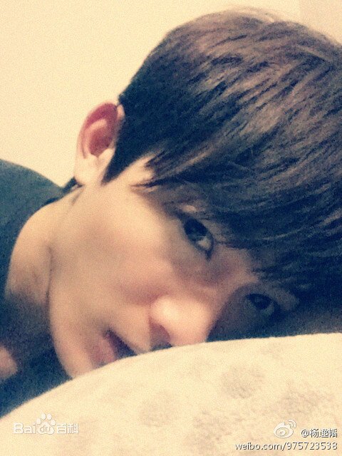 Yang Yi Tao photo