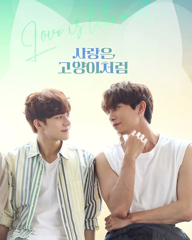 Love Is Like a Cat poster