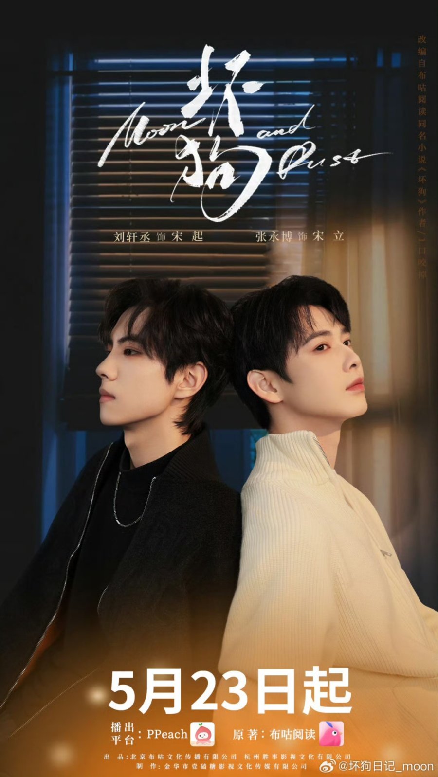 Moon and Dust poster