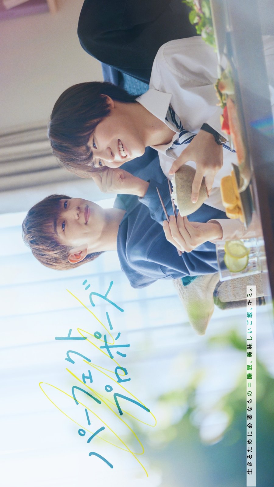 Perfect Propose poster