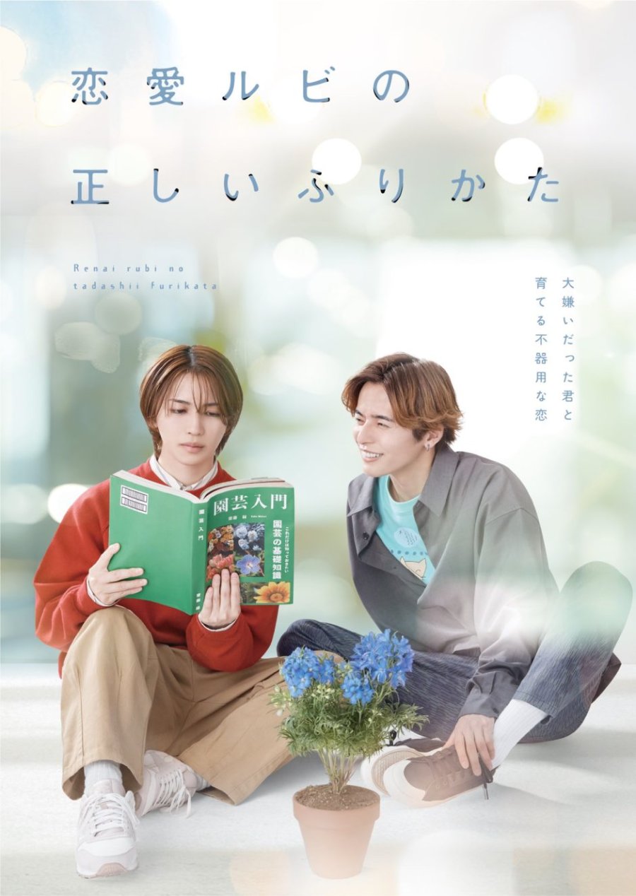 The Proper Way to Write Love poster