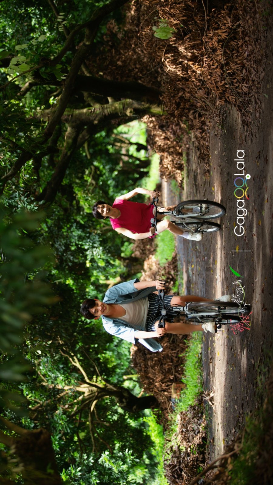 Secrets Happened on the Litchi Island (Movie Version) poster