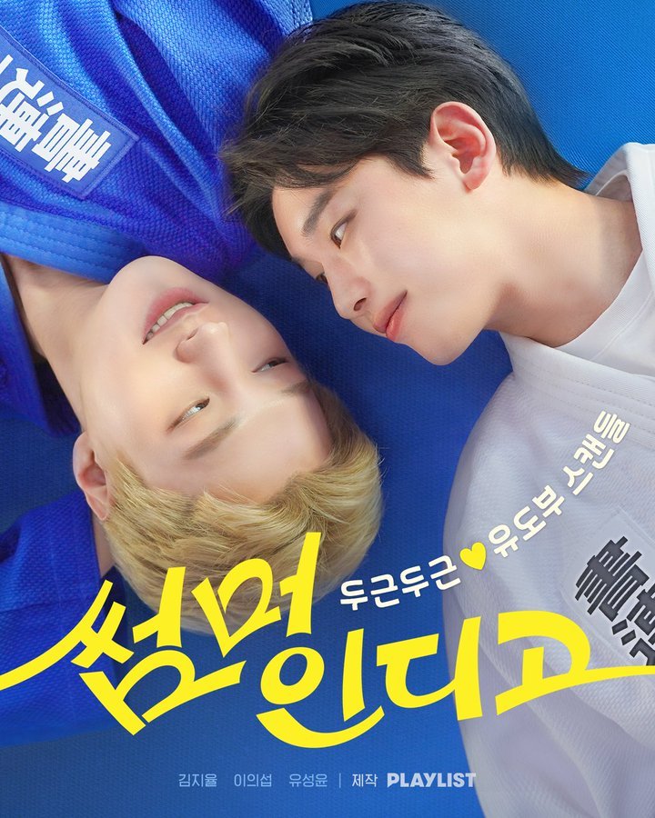 Summer Indigo poster