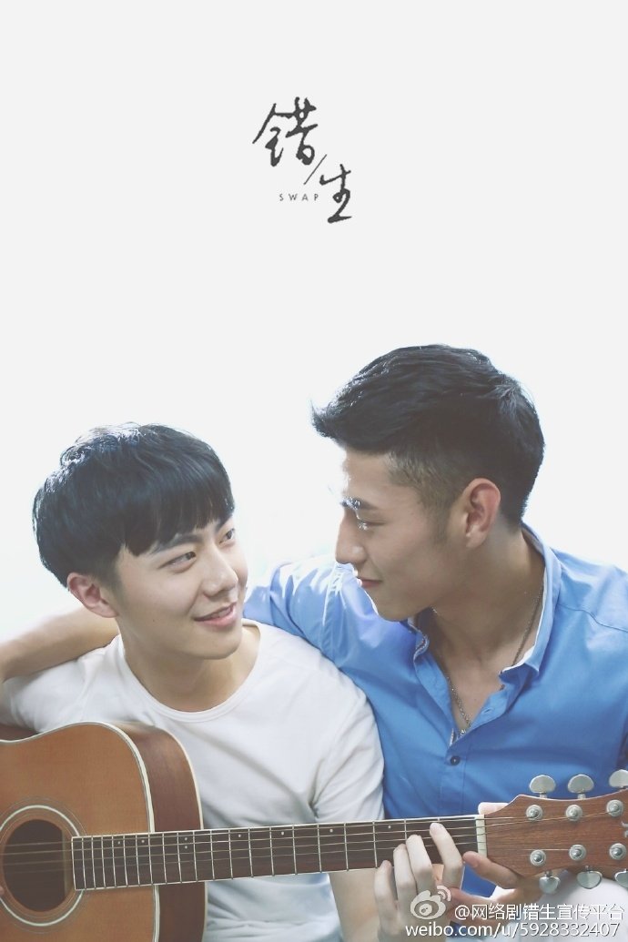 SWAP poster