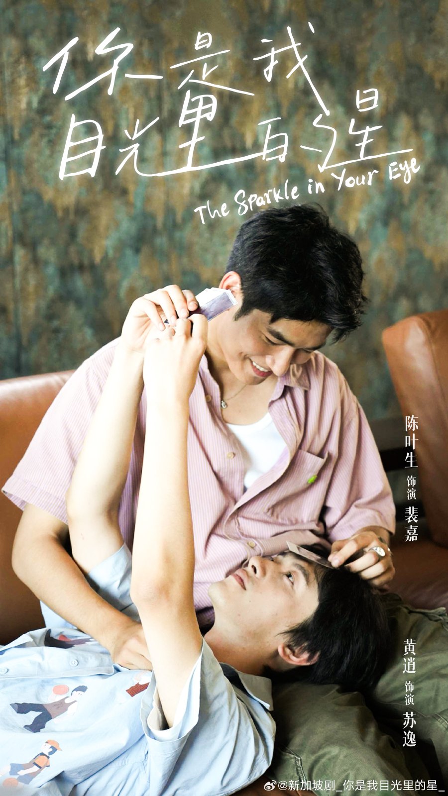 The Sparkle in Your Eye poster