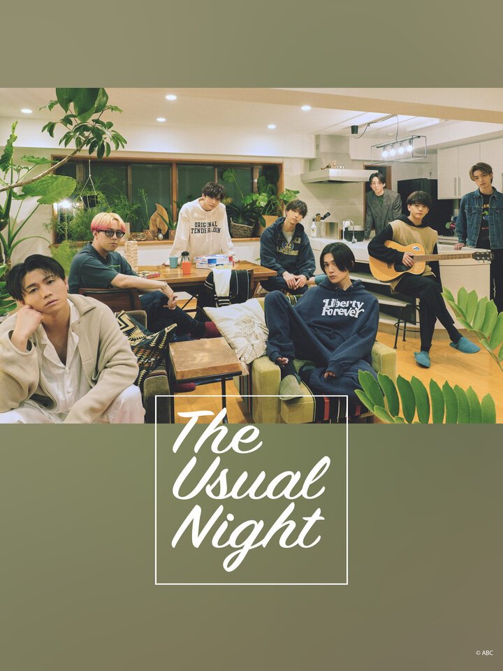The Usual Night poster