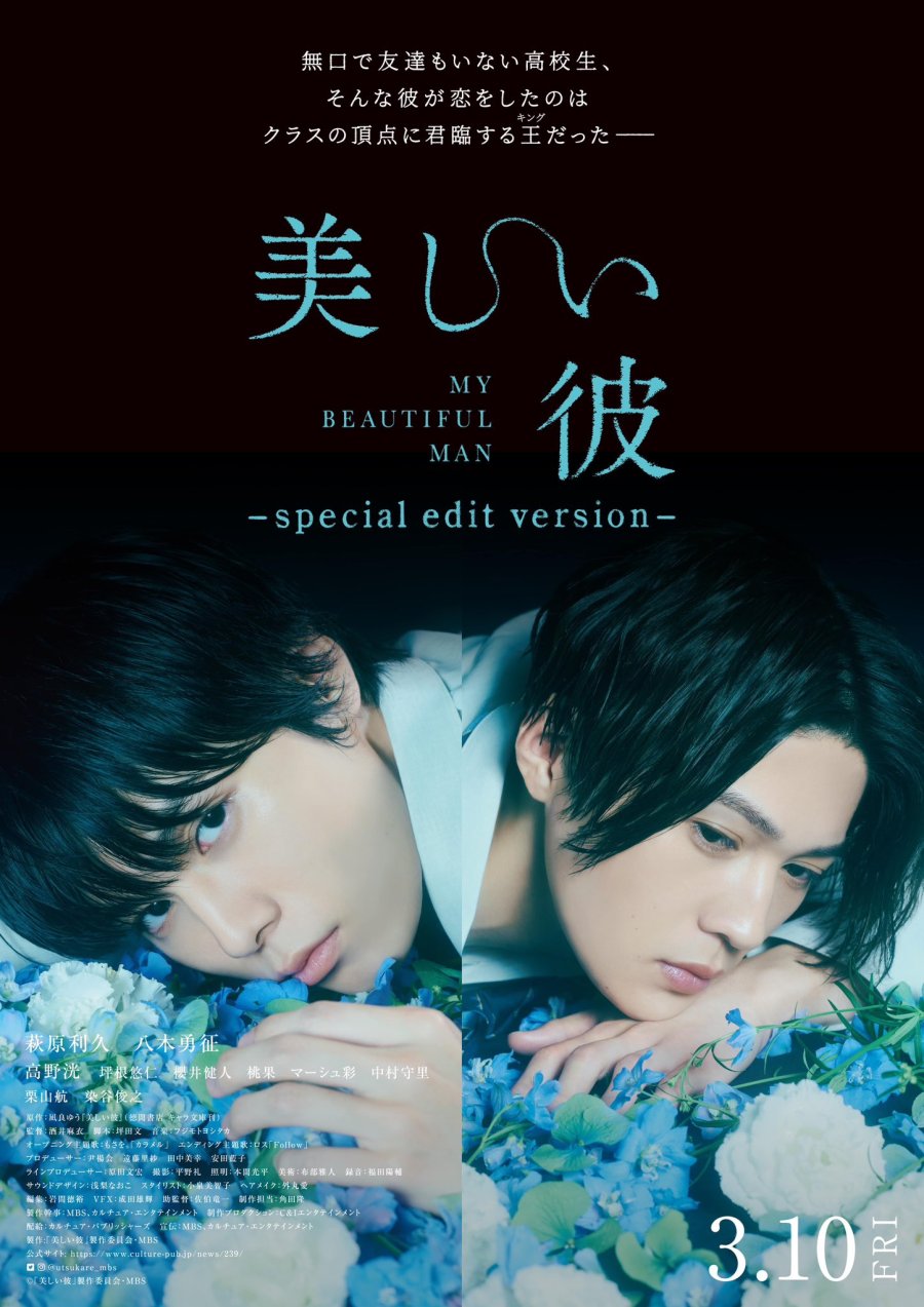 Utsukushii Kare: Special Edit Version poster