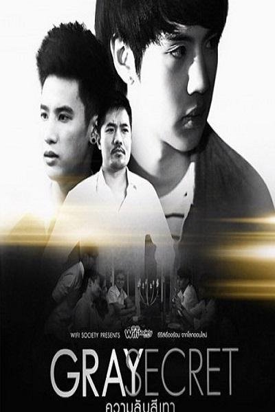 Wifi Society: Gray Secret poster
